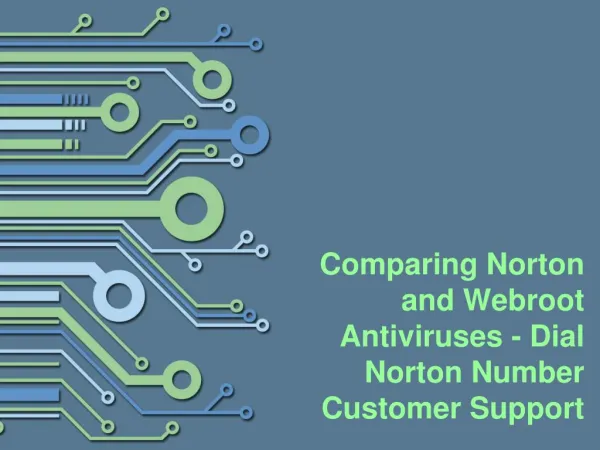 Comparing Norton and Webroot Antiviruses - Dial Norton Number Customer Support