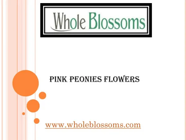 Pink Peonies Flowers - www.wholeblossoms.com
