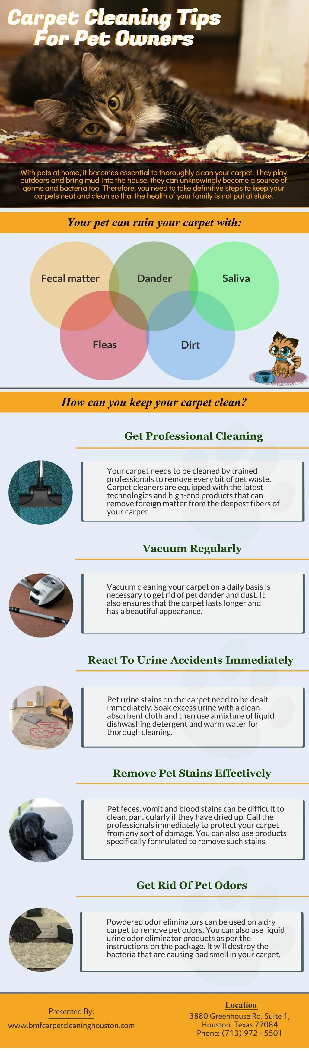 carpet cleaning tips carpet cleaning tips