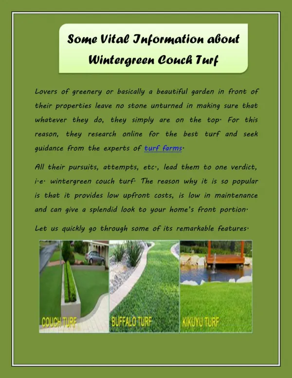 Some Vital Information about Wintergreen Couch Turf
