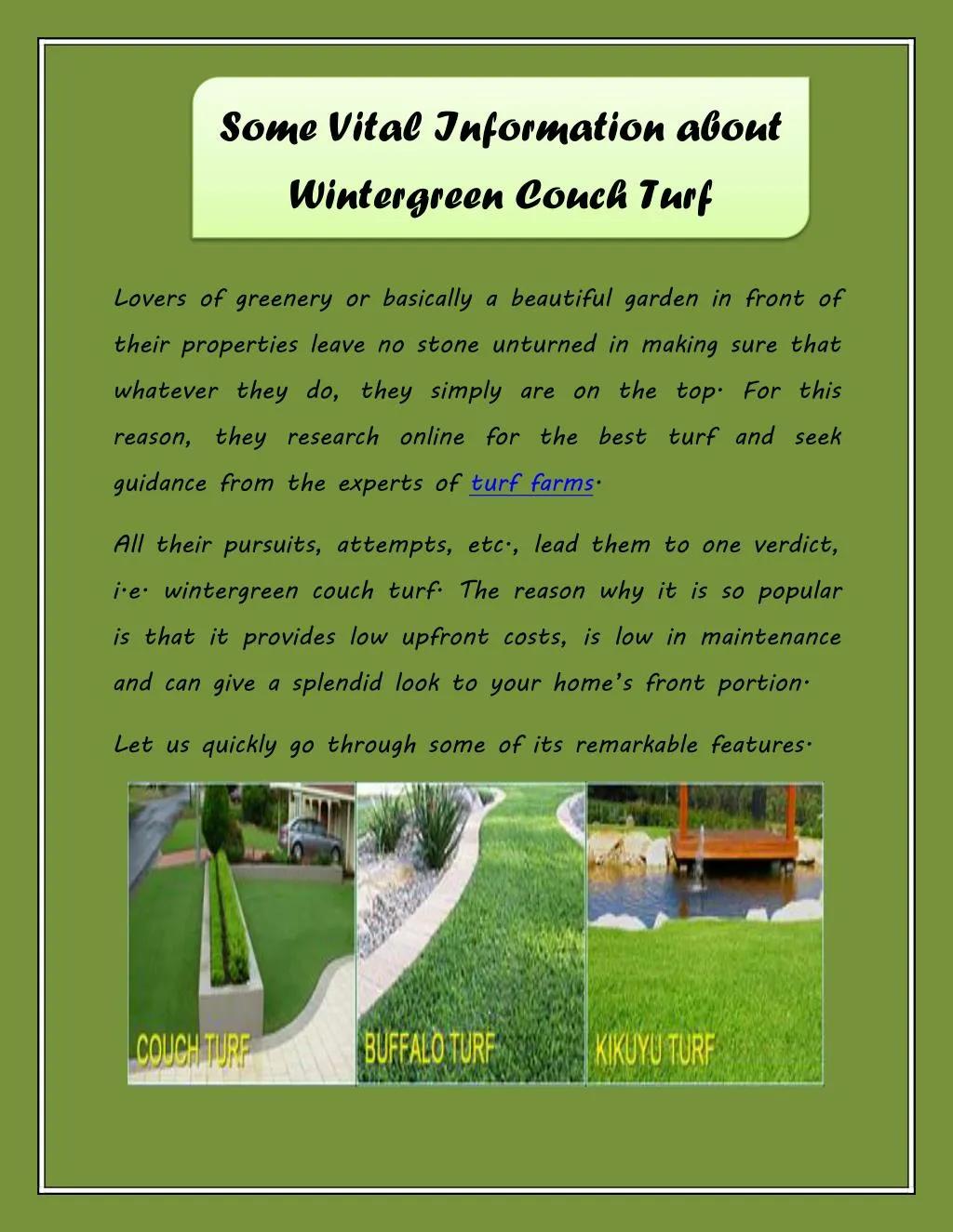 some vital information about wintergreen couch
