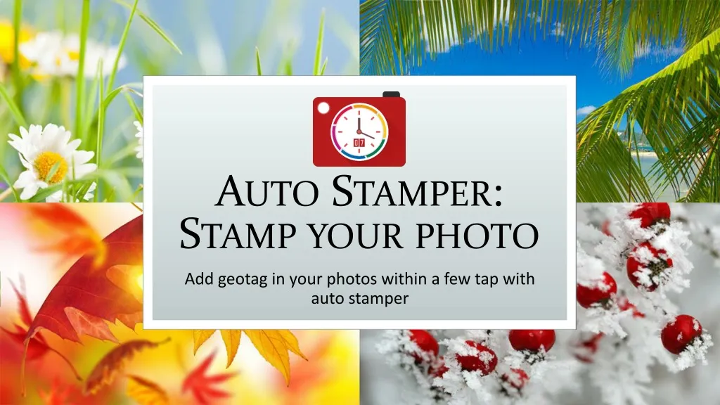 auto stamper stamp your photo