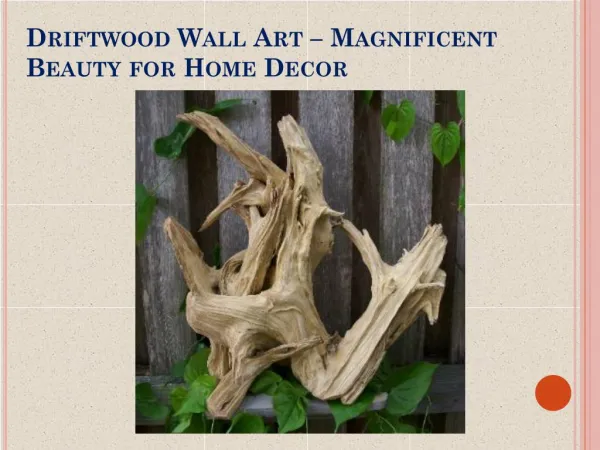Driftwood Wall Art – Magnificent Beauty for Home Decor