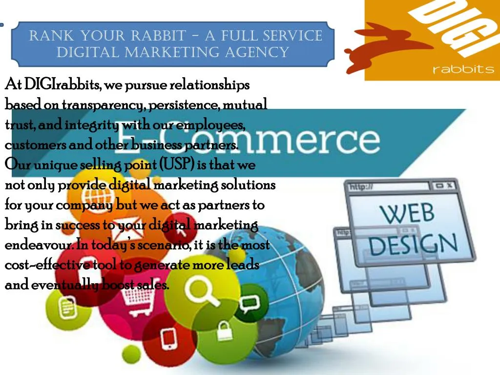 rank your rabbit a full service digital marketing