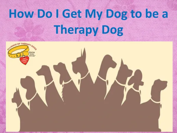 How Do I Get My Dog to be a Therapy Dog