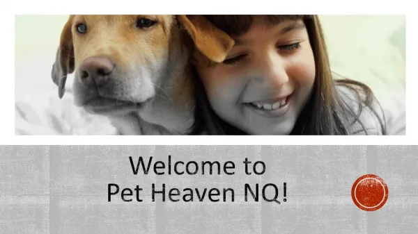 Pet Heaven NQ