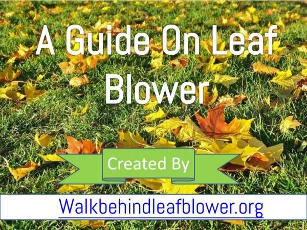 An Ultimate Buying Guide of Leaf Blower