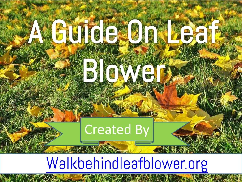 a guide on leaf blower