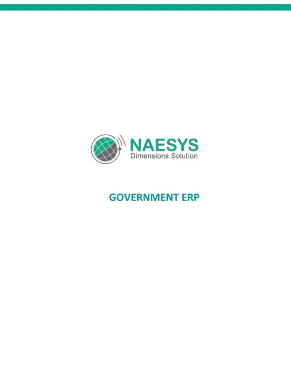 Naesys | Government ERP