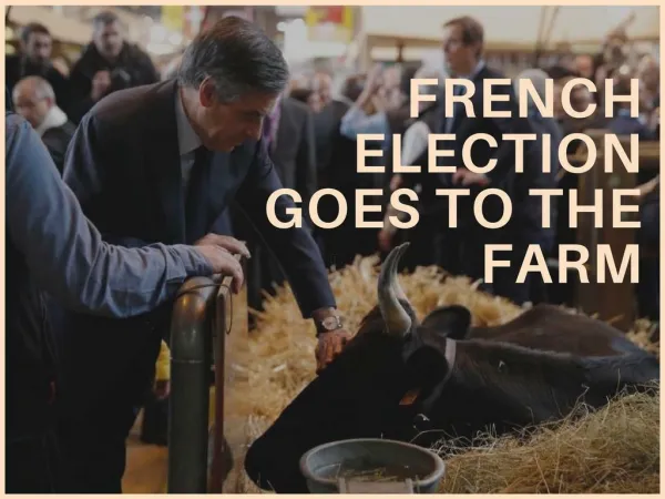 French election goes to the farm