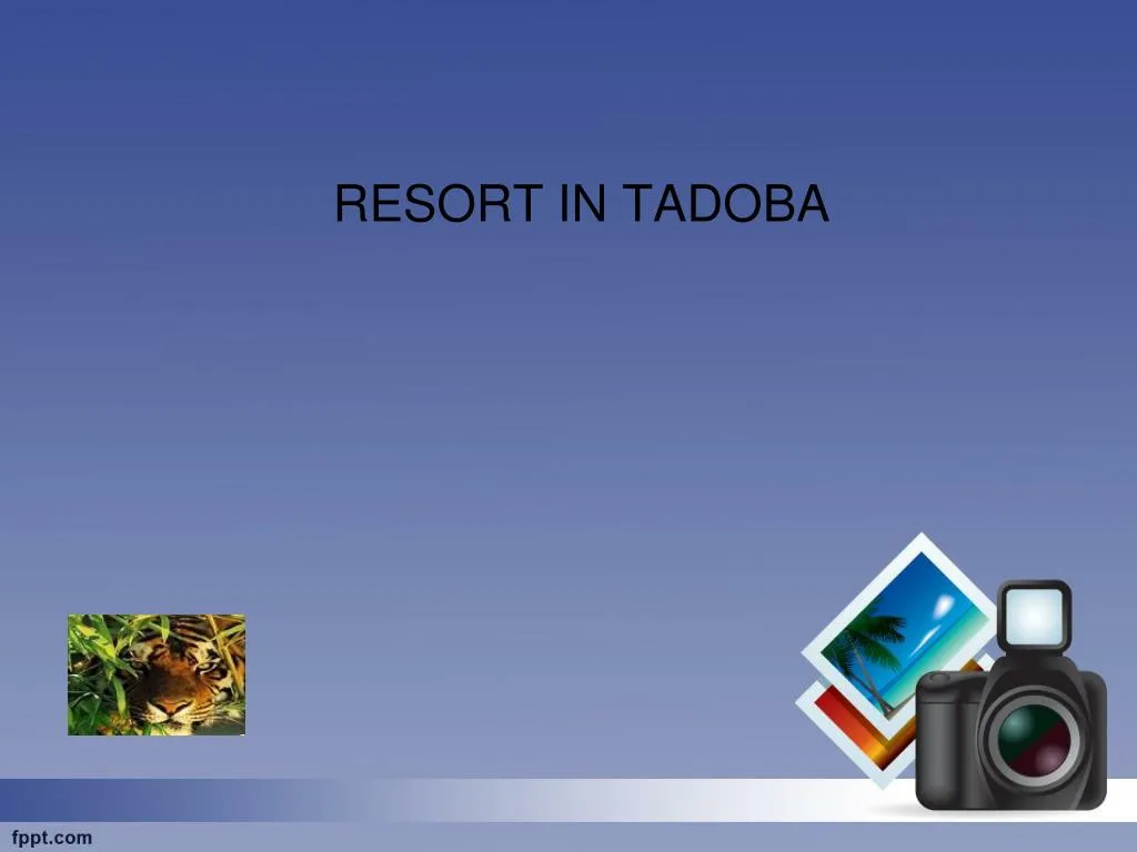 resort in tadoba