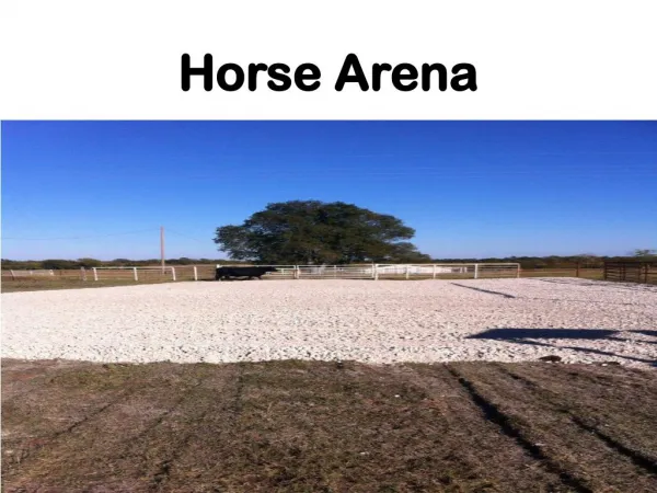 Horse Arena