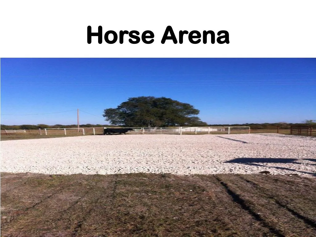 horse arena