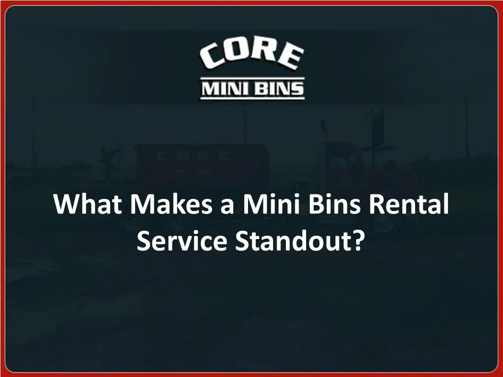 what makes a mini bins rental service standout
