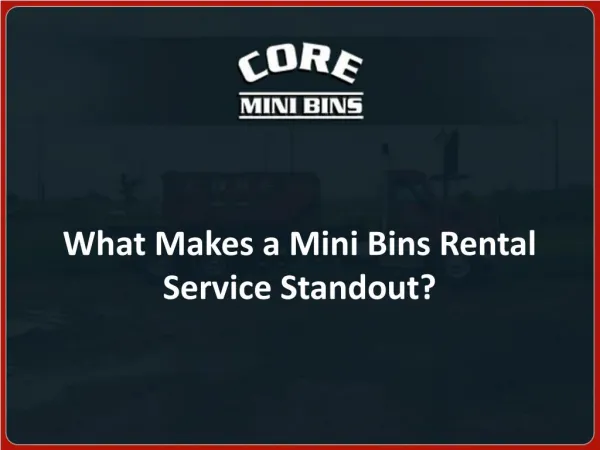 What Makes a Mini Bins Rental Service Standout?