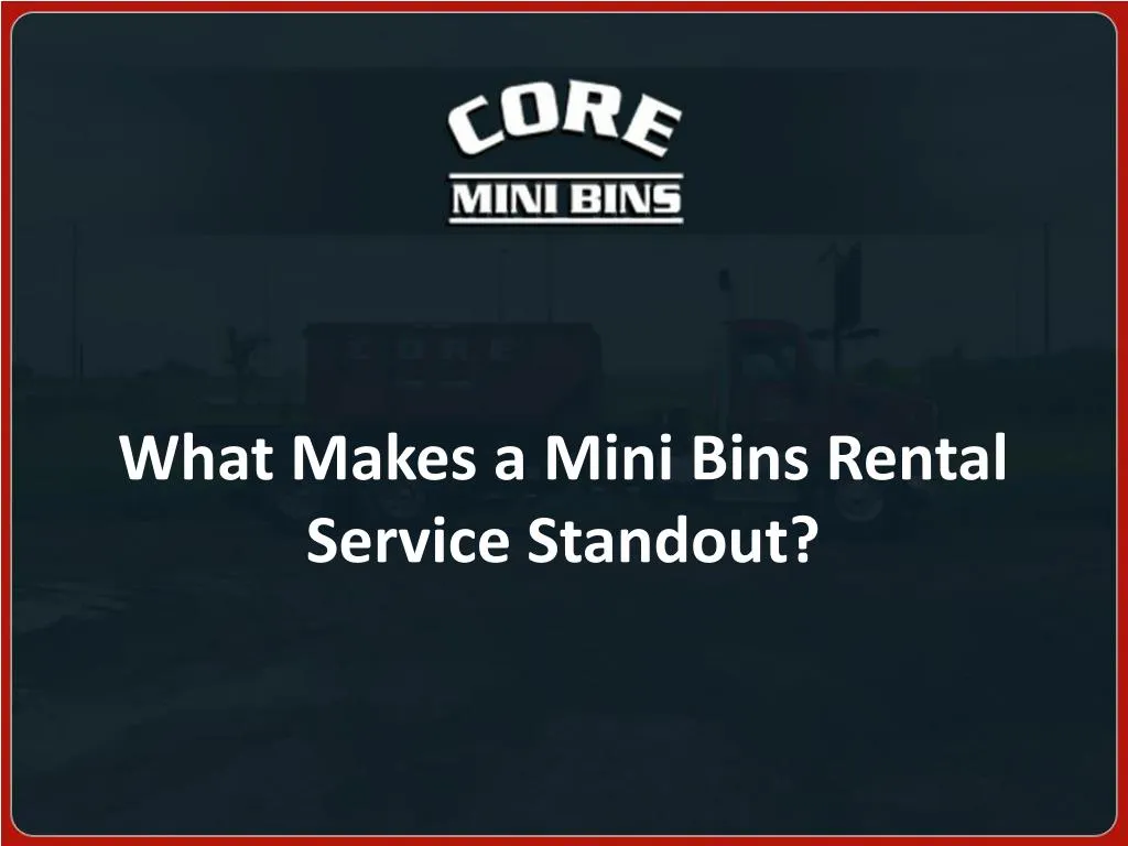 what makes a mini bins rental service standout