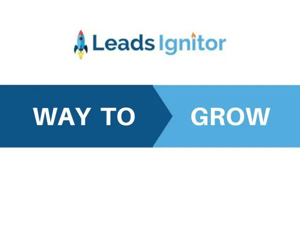 Leads Ignitor | Digital marketing Agency/company/services
