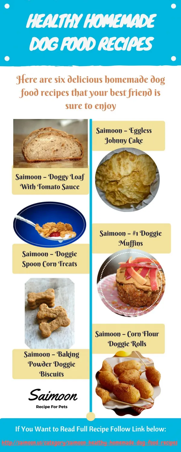 Saimoon's Homemade Dog Food Recipes