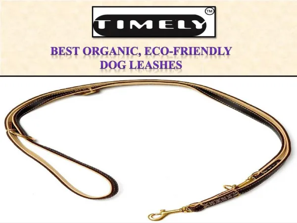 Best organic, eco friendly dog leashes