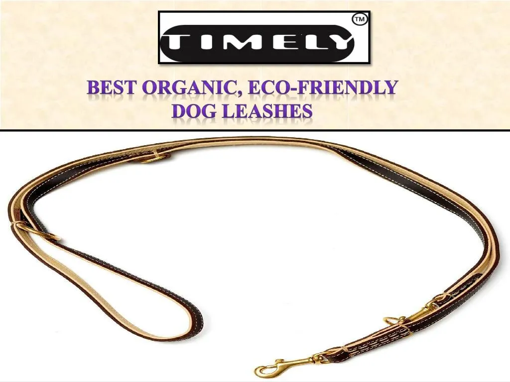 best organic eco friendly dog leashes