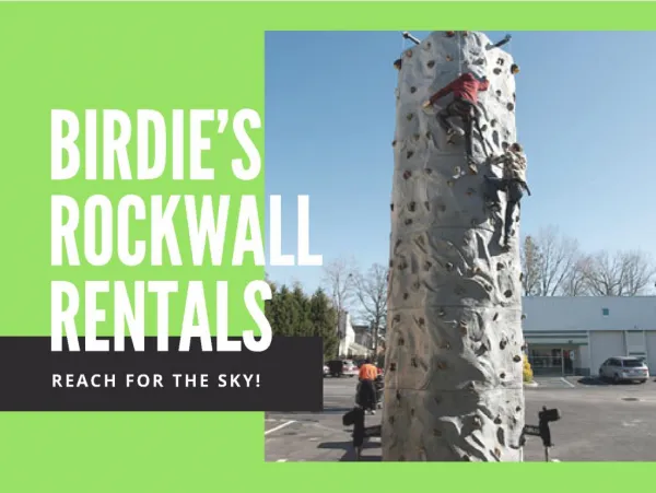 Birdie's Rockwall Rental - Reach For The Sky!