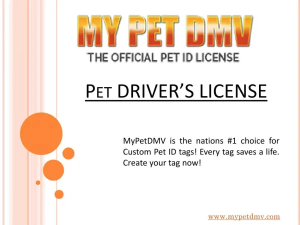 Keep Your Pet Safe With Pet Drivers License - My Pet DMV