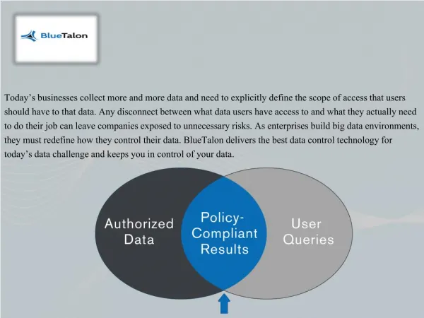 Big Data-centric security at Blue Talon