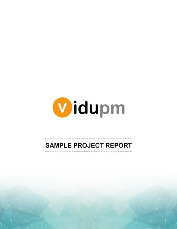 Project Management Sample Reports