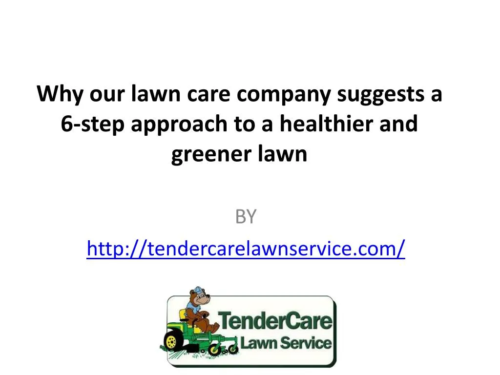 why our lawn care company suggests a 6 step approach to a healthier and greener lawn