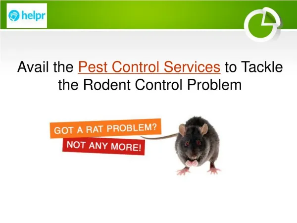 Avail the Pest Control Services to Tackle the Rodent Control Problem