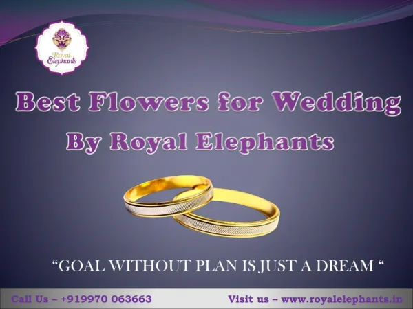 Best flowers For Wedding by Royal Elephants