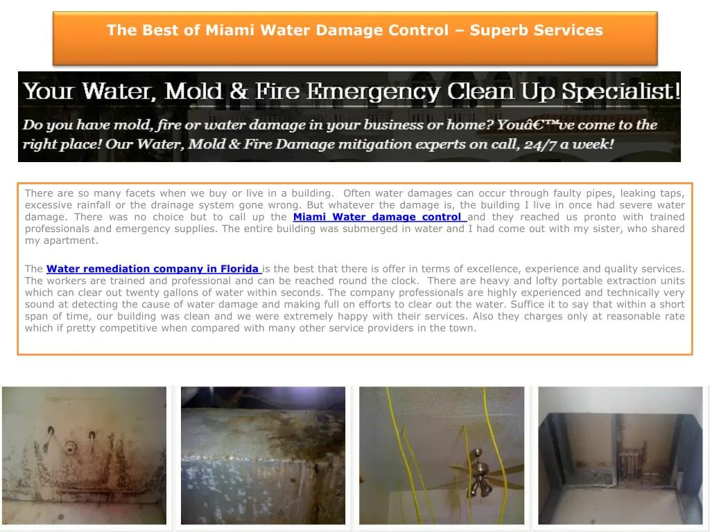 the best of miami water damage control superb