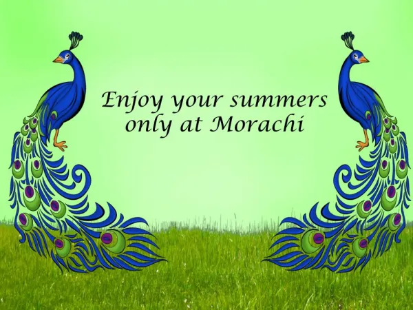 Enjoy Your Summers Only at Morachi