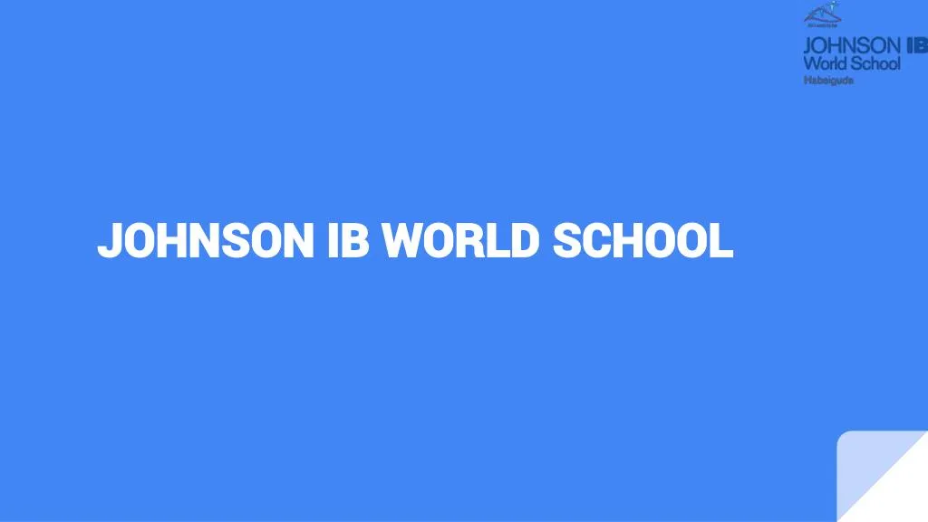 johnson ib world school