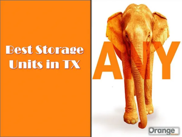 Best storage units in tx