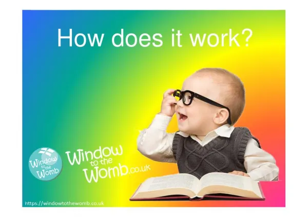 How does it work? - Window to the Womb