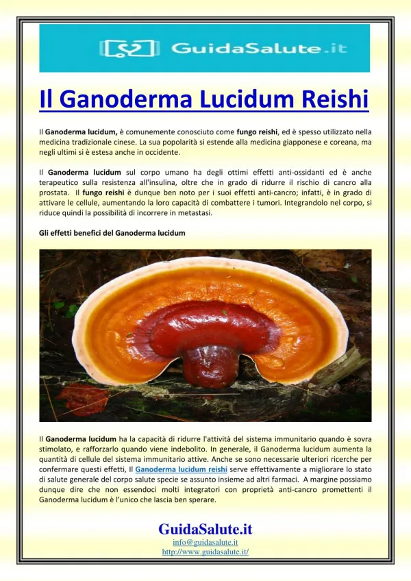 Il Ganoderma Lucidum Reishi