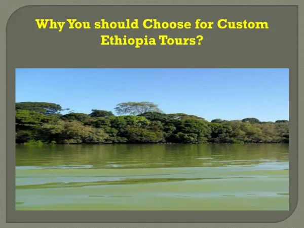 Why You should Choose for Custom Ethiopia Tours ?