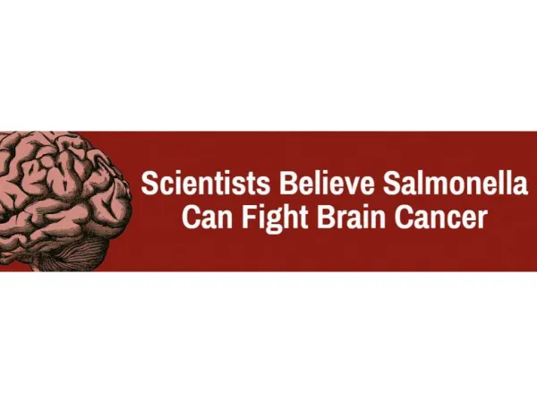 Scientists Believe Salmonella Can Fight Brain Cancer