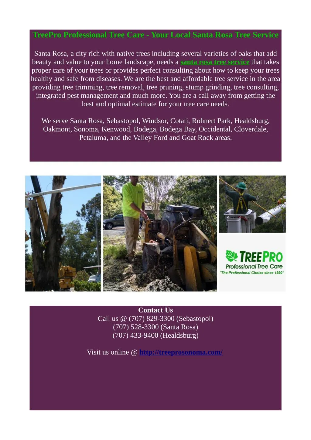 treepro professional tree care your local santa