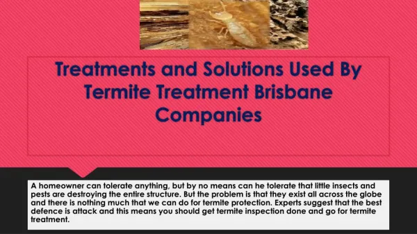 Treatments and Solutions Used By Termite Treatment Brisbane Companies