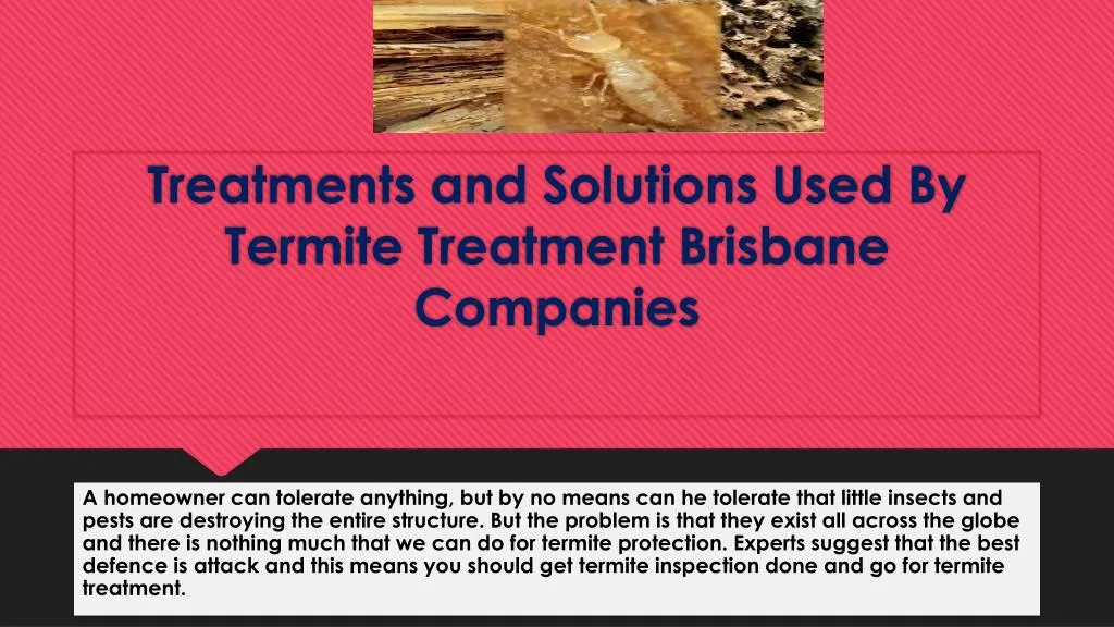treatments and solutions used by termite treatment brisbane companies