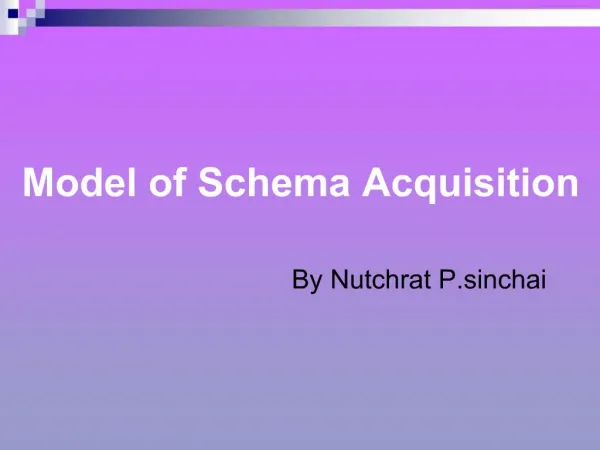 Model of Schema Acquisition
