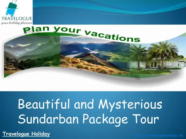 Beautiful and Mysterious Sundarban Package Tour