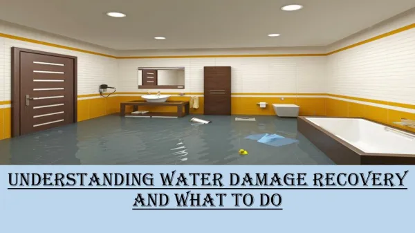 Understanding Water damage Recovery And What To Do