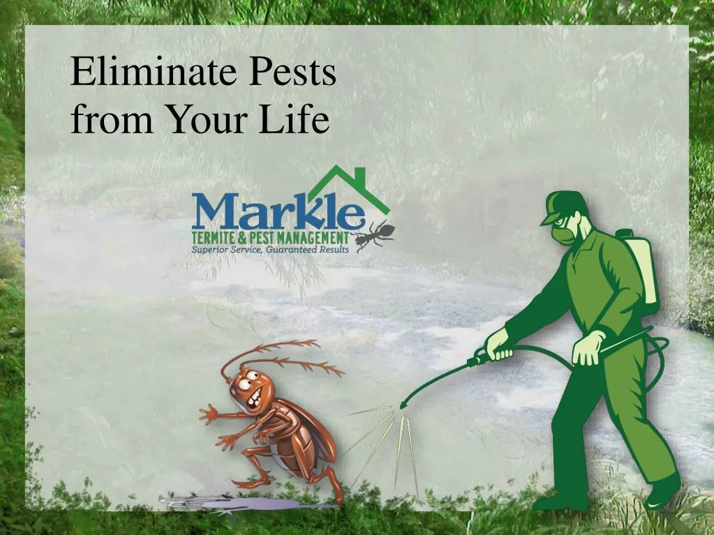 eliminate pests from your life