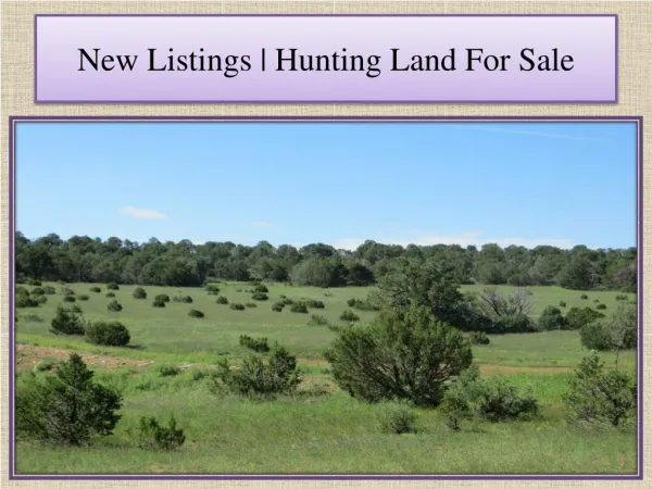 New Listings | Hunting Land For Sale