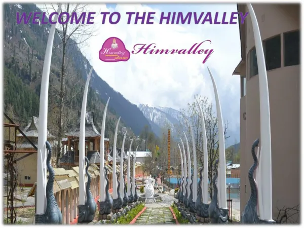 #camping in Manali 11 best places for camp - #himvalleymanali