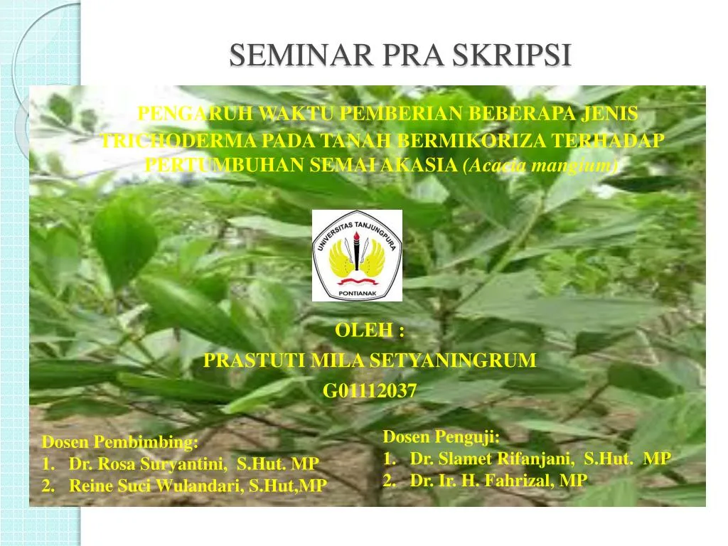 seminar pra skripsi