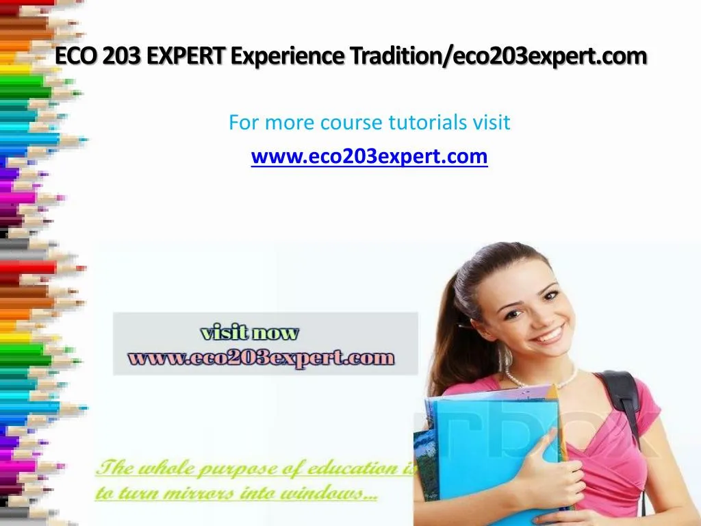 eco 203 expert experience tradition eco203expert com